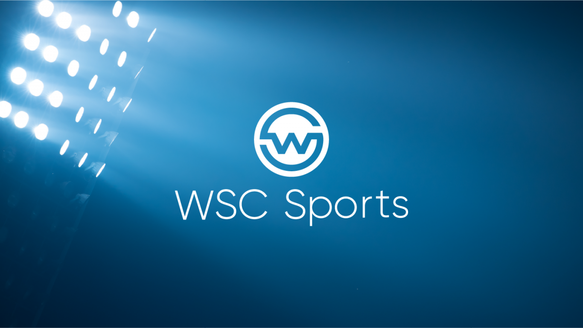 Read more about the article WSC Sports Extends Growth, Announces $100M in Series D Round